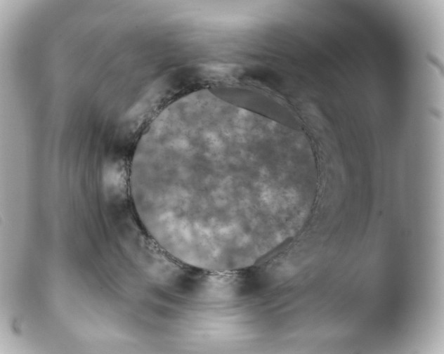 X0000103480720200810100959