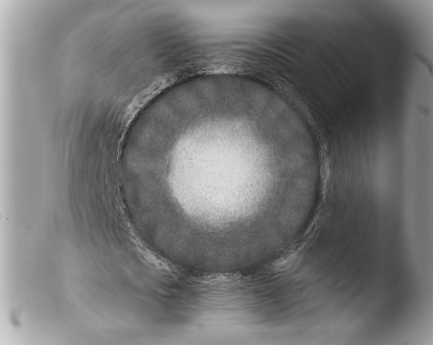 X0000103480721200810100958