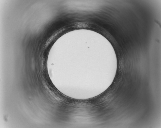 X0000103480722200810100958