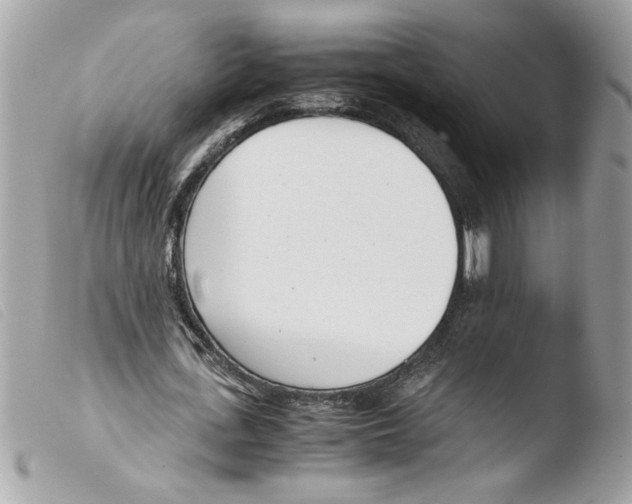 X0000103480723200810100958
