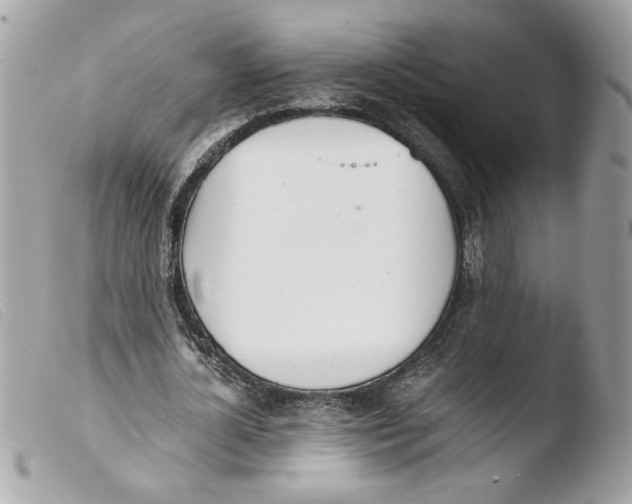 X0000103480724200810100958