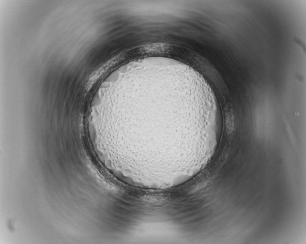 X0000103480725200810100958