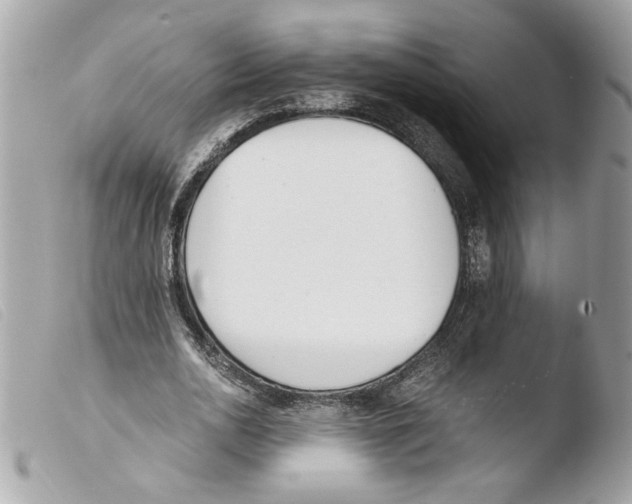 X0000103480726200810100958