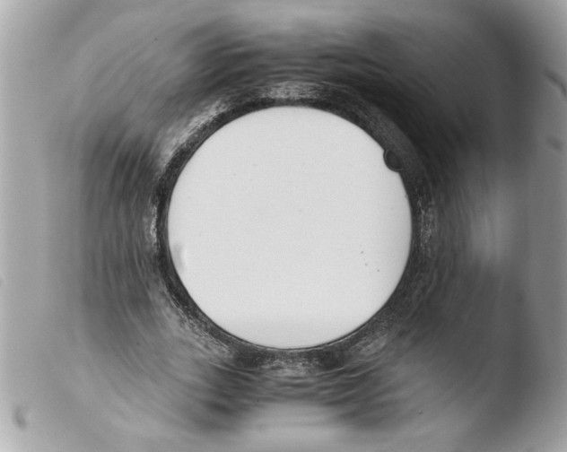 X0000103480727200810100959