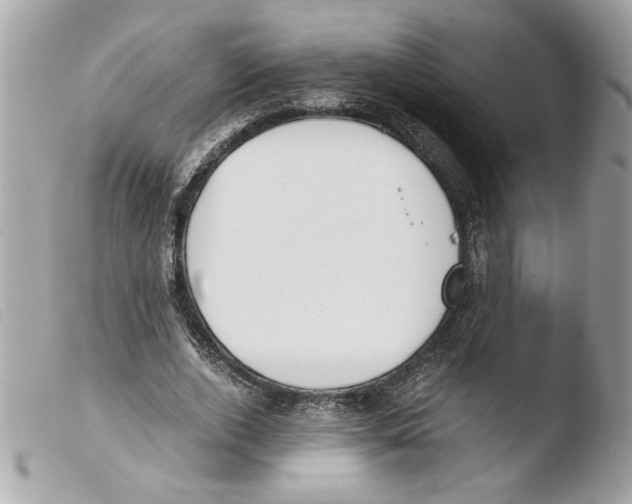 X0000103480728200810100959