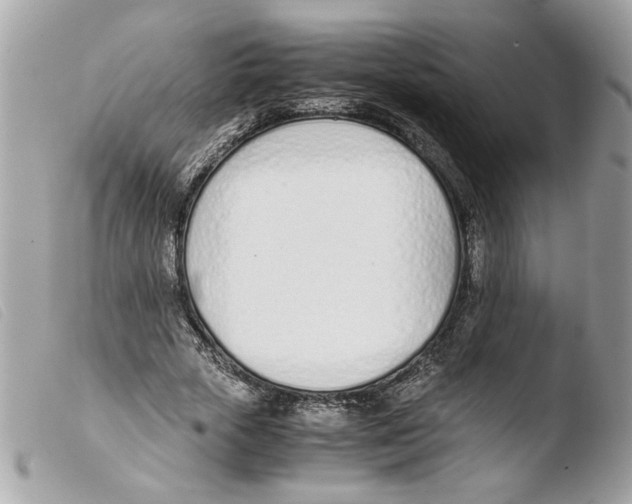 X0000103480729200810100959