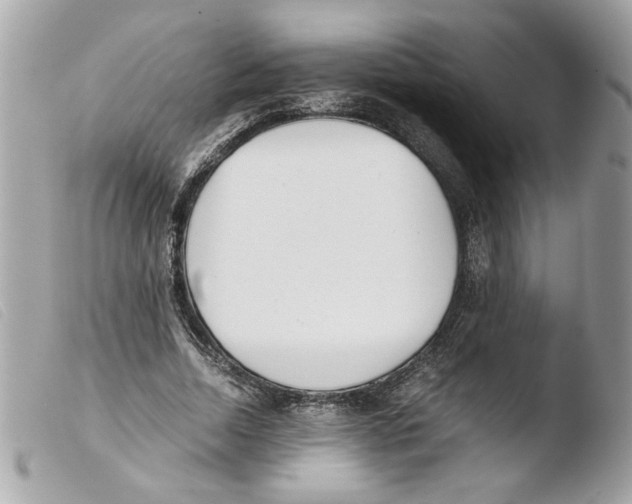 X0000103480730200810100959