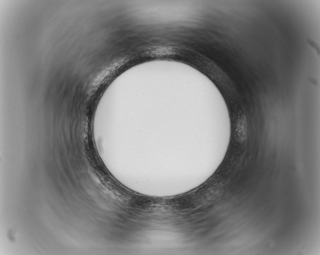 X0000103480732200810100959