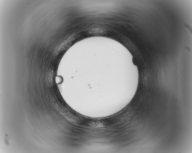 X0000103480735200810100959