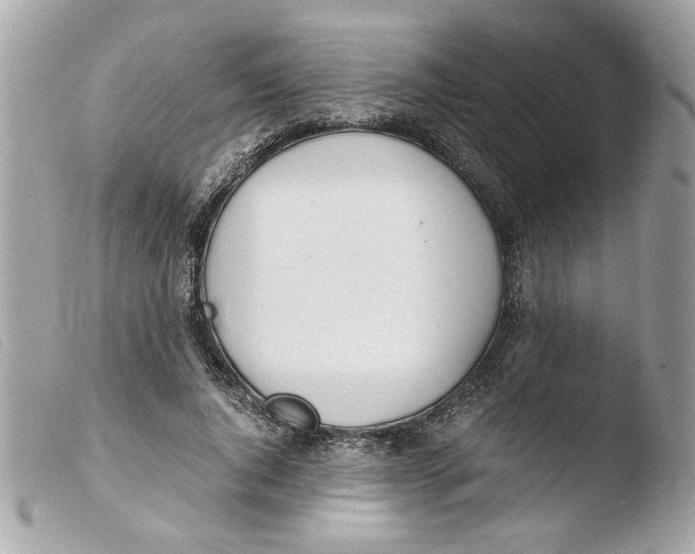 X0000103480736200810100959