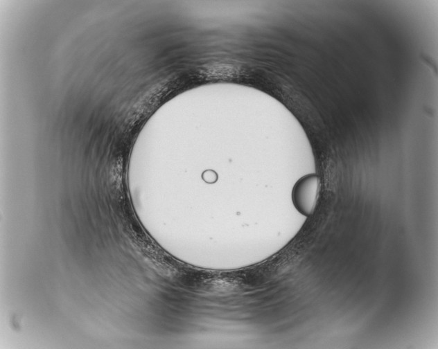 X0000103480737200810100959