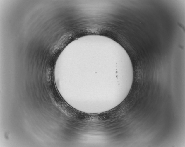 X0000103480738200810100959