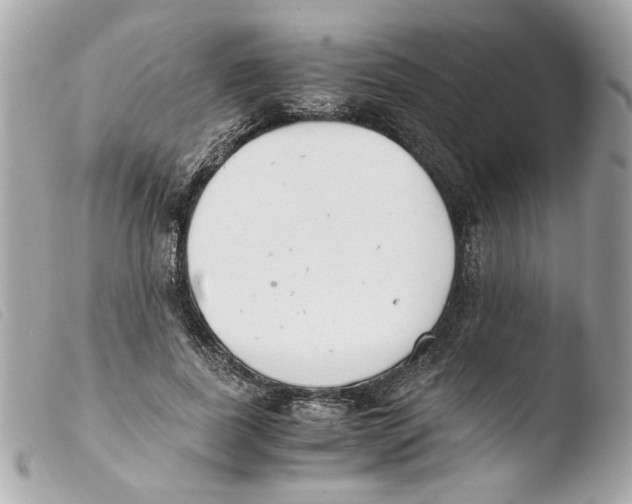 X0000103480739200810100959