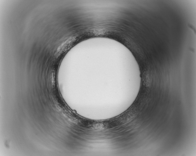 X0000103480740200810100959