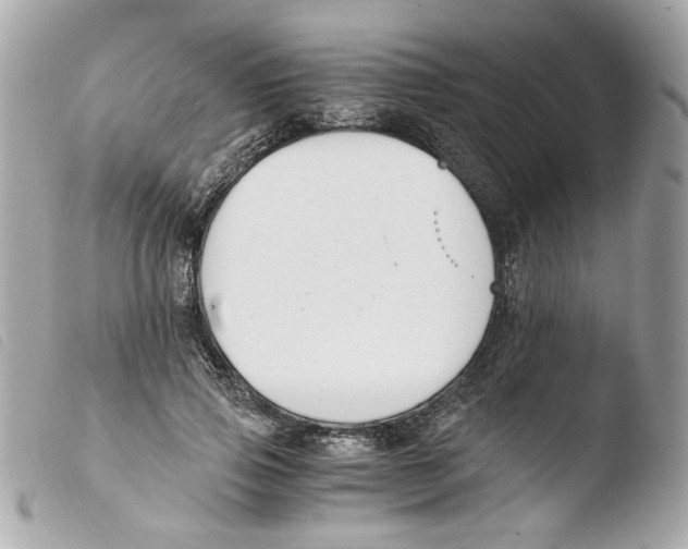 X0000103480741200810100959