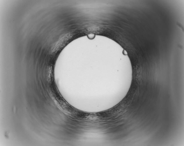 X0000103480742200810100959