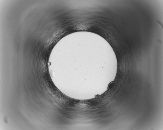 X0000103480743200810100959