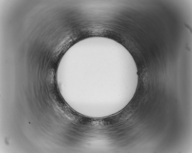 X0000103480744200810100959