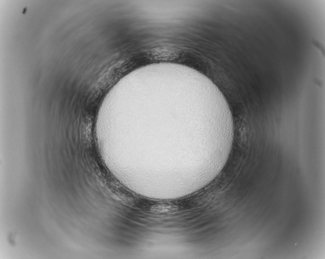 X0000103480745200810100959