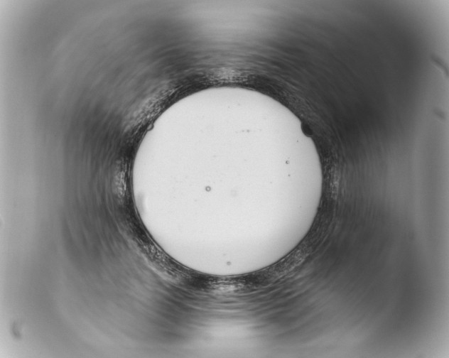 X0000103480746200810100959