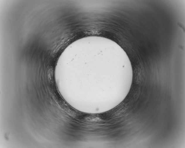 X0000103480747200810100959