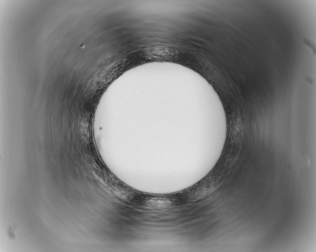 X0000103480749200810100959