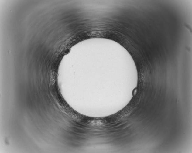 X0000103480751200810100959