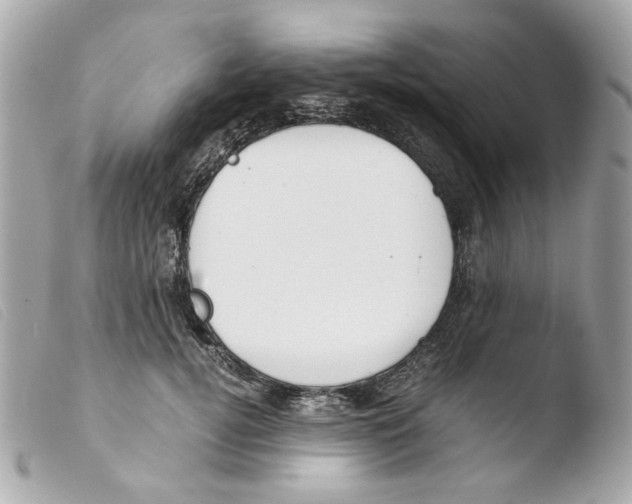 X0000103480752200810100959