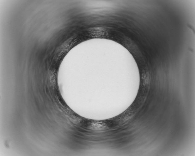 X0000103480753200810100959