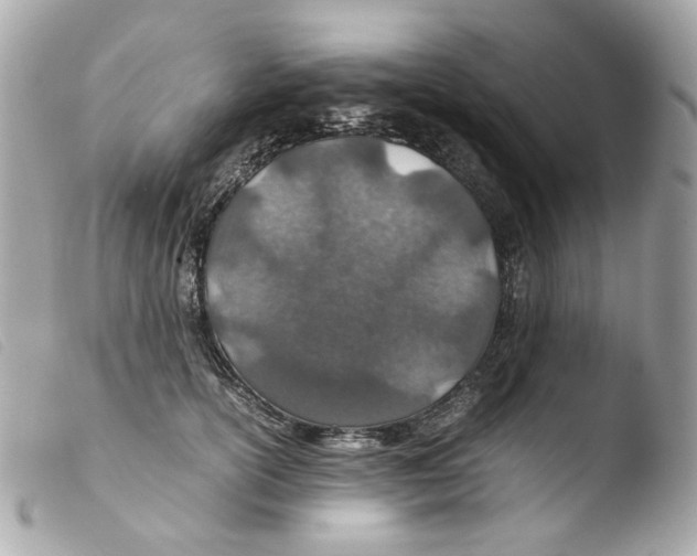 X0000103480754200810100959