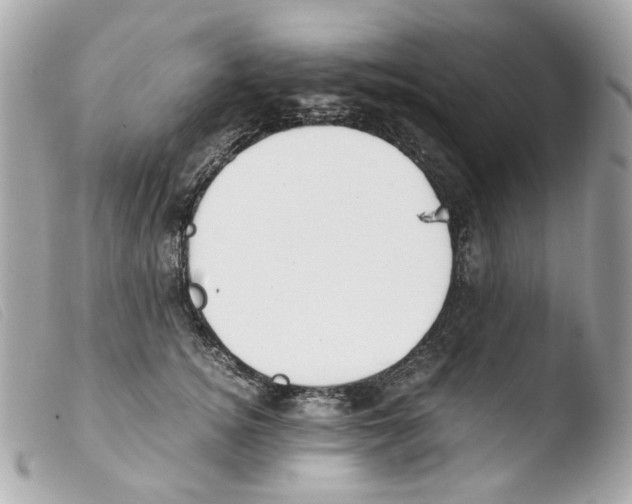 X0000103480756200810100959