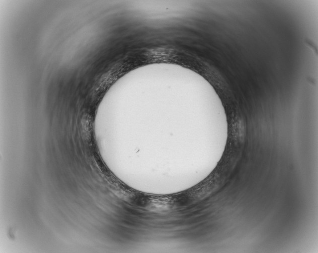 X0000103480757200810100959
