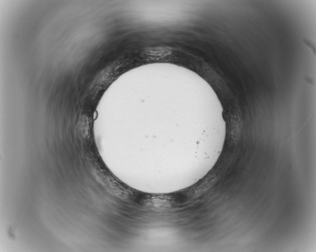 X0000103480758200810100959