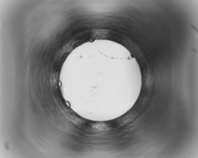 X0000103480759200810100959