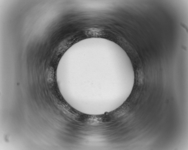 X0000103480760200810100959