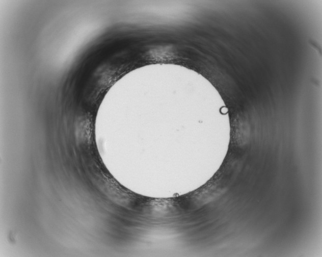 X0000103480762200810100959