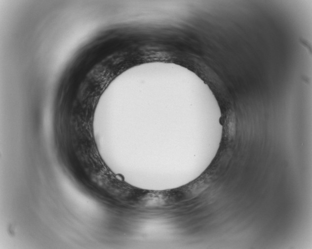 X0000103480764200810100959