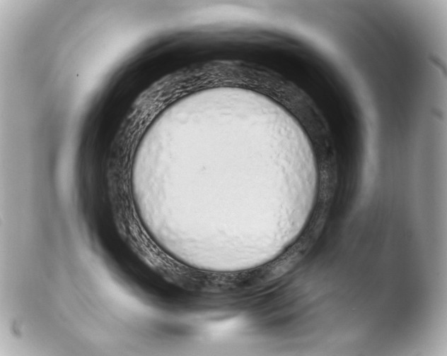X0000103480765200810100959