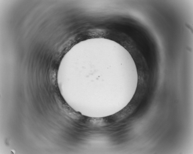 X0000103480767200810100959