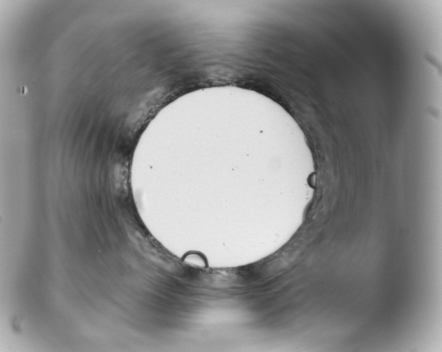 X0000103480768200810100959