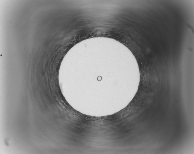 X0000103480769200810100958