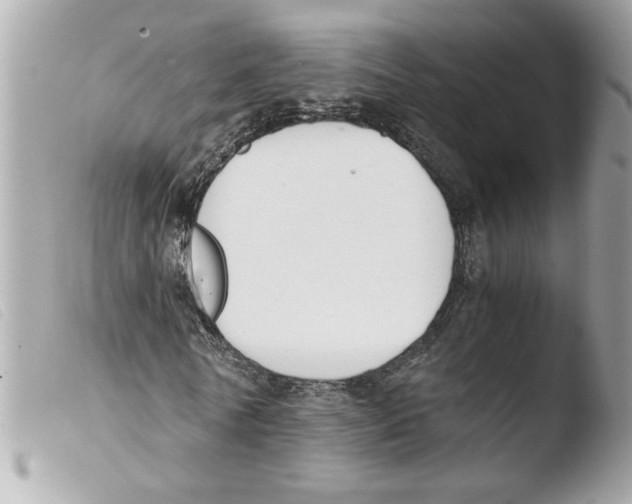 X0000103480770200810100958