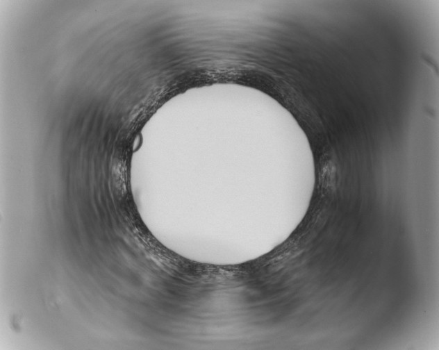 X0000103480772200810100958