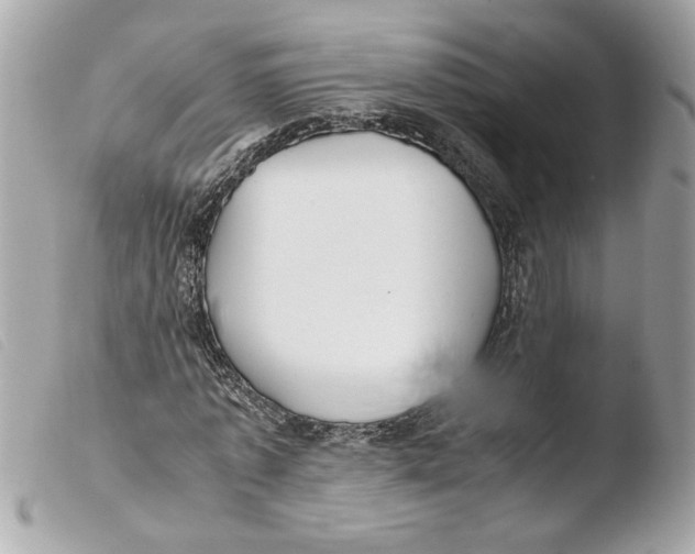 X0000103480773200810100958