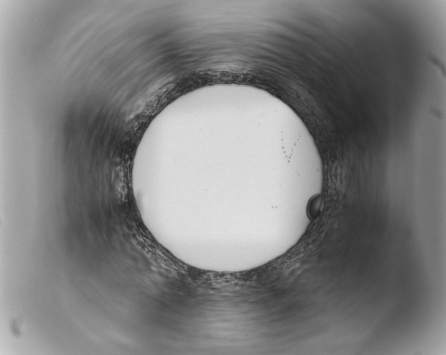 X0000103480774200810100958