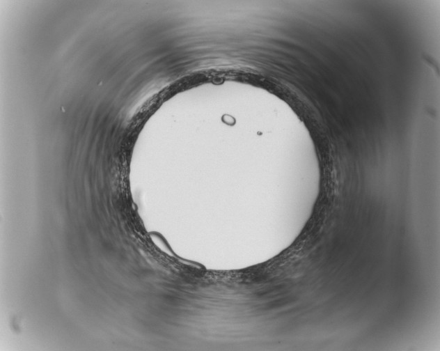 X0000103480775200810100958