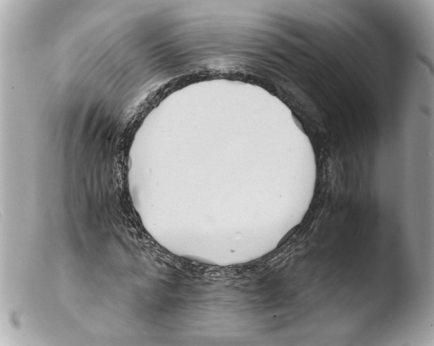 X0000103480776200810100958