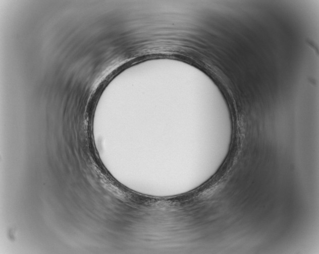 X0000103480779200810100958
