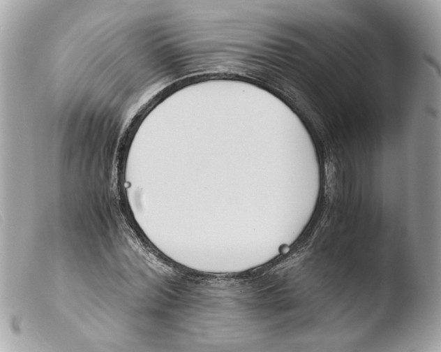 X0000103480780200810100958