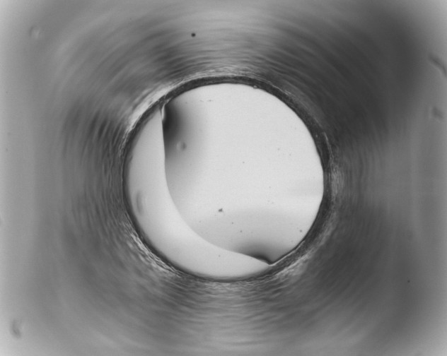 X0000103480781200810100958